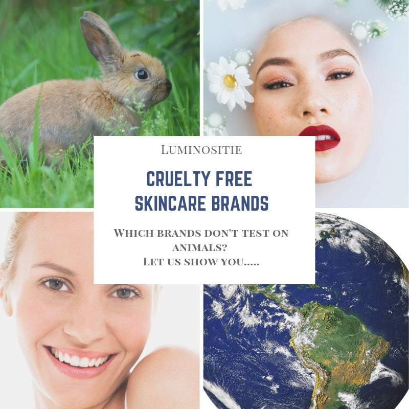 Which Skincare Brands are Cruelty Free? - A Definitive Breakdown